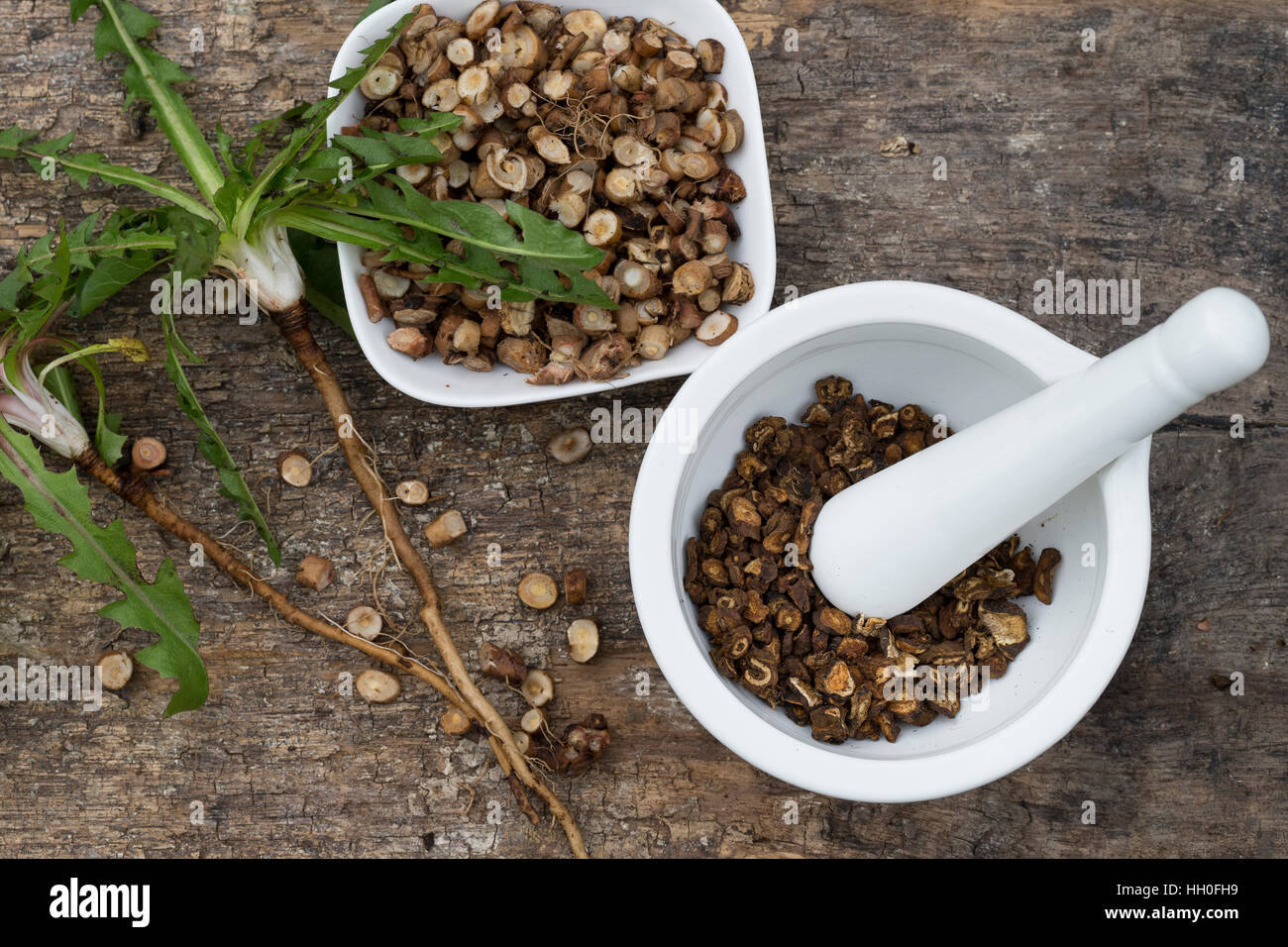 Löwenzahn-Wurzel, Löwenzahn-Wurzeln, Löwenzahnwurzel, Löwenzahnwurzeln, Wiesen-Löwenzahn, Radix Taraxaci, Taraxaci radix, zerkleinerte und geröstete W Foto Stock