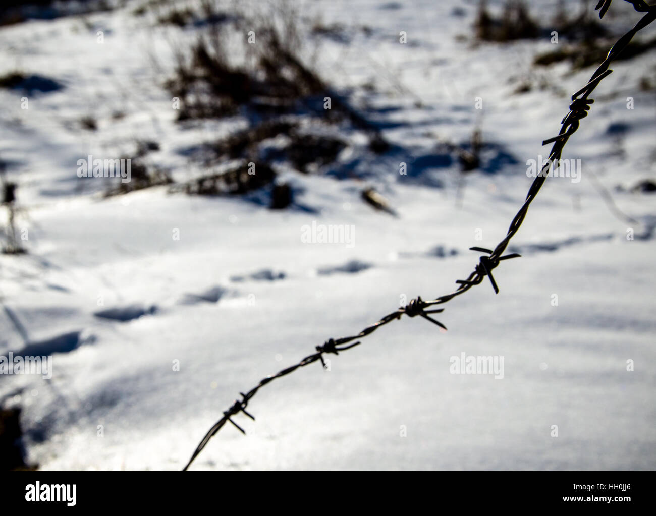 Filo spinato e sentieri del piede sulla neve che conduce alla libertà, Grecia. Foto Stock