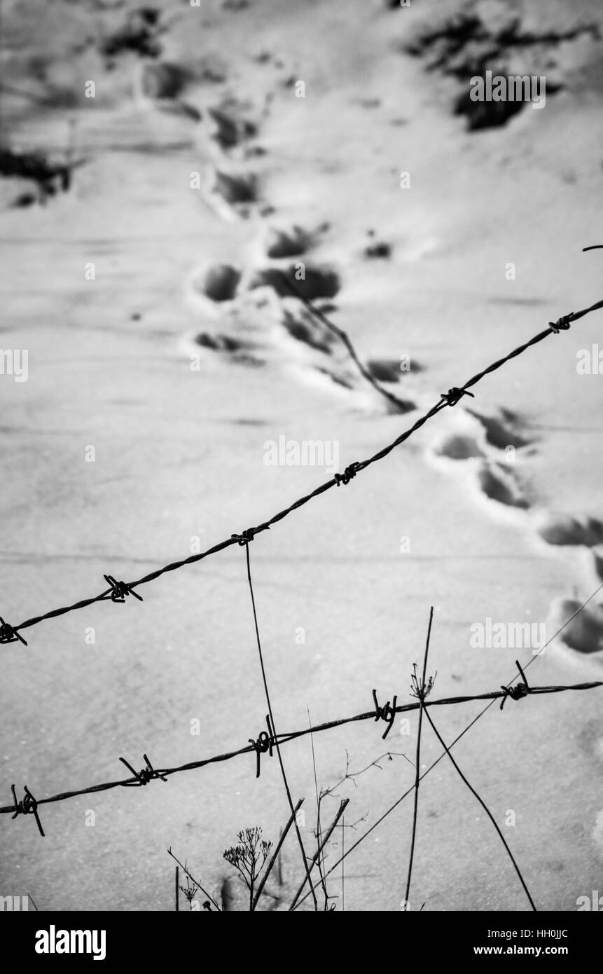 Filo spinato e sentieri del piede sulla neve che conduce alla libertà, Grecia. Foto Stock