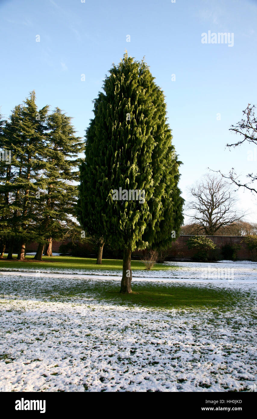 Haigh Country Park, Wigan, Lancashire Foto Stock