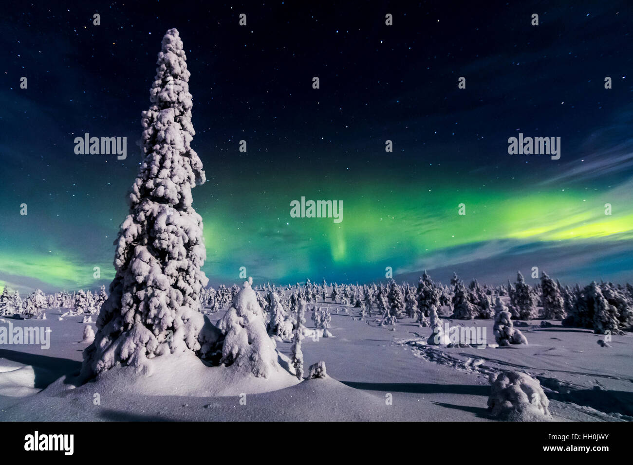 Luci del nord in Riisitunturi national park, Finlandia Foto Stock