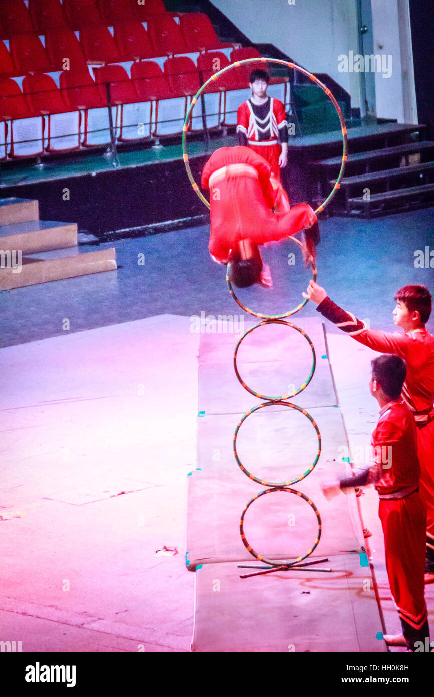 Jeju Island, Corea - Novembre 12, 2016 : il turista ha visitato Jeju Circus World, una delle attrazioni turistiche di Jeju-do. Foto Stock