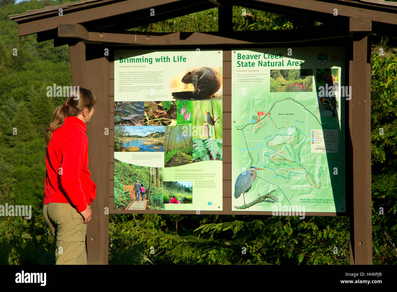 Mappa del parco scheda, Brian stand Parco Statale, Oregon Foto Stock