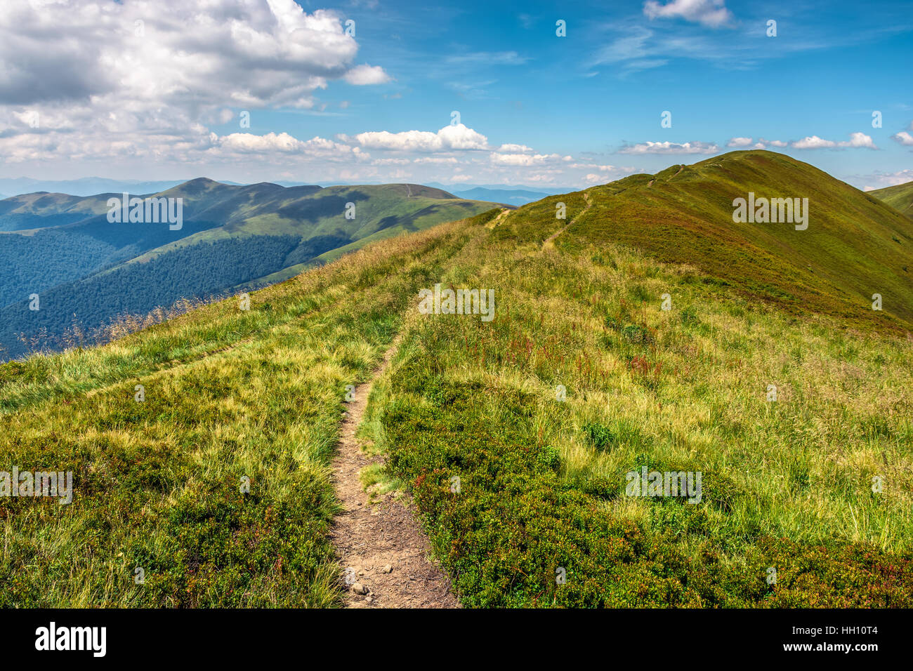 Estate paesaggio di montagna. percorso attraverso la cresta a picco superiore Foto Stock