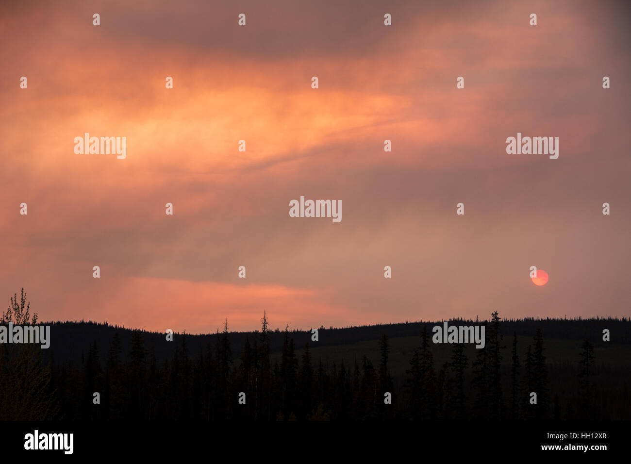 Il sole tramonta attraverso fumo spesso da un incendio in un bosco vicino al Prince George, BC, Canada. Foto Stock