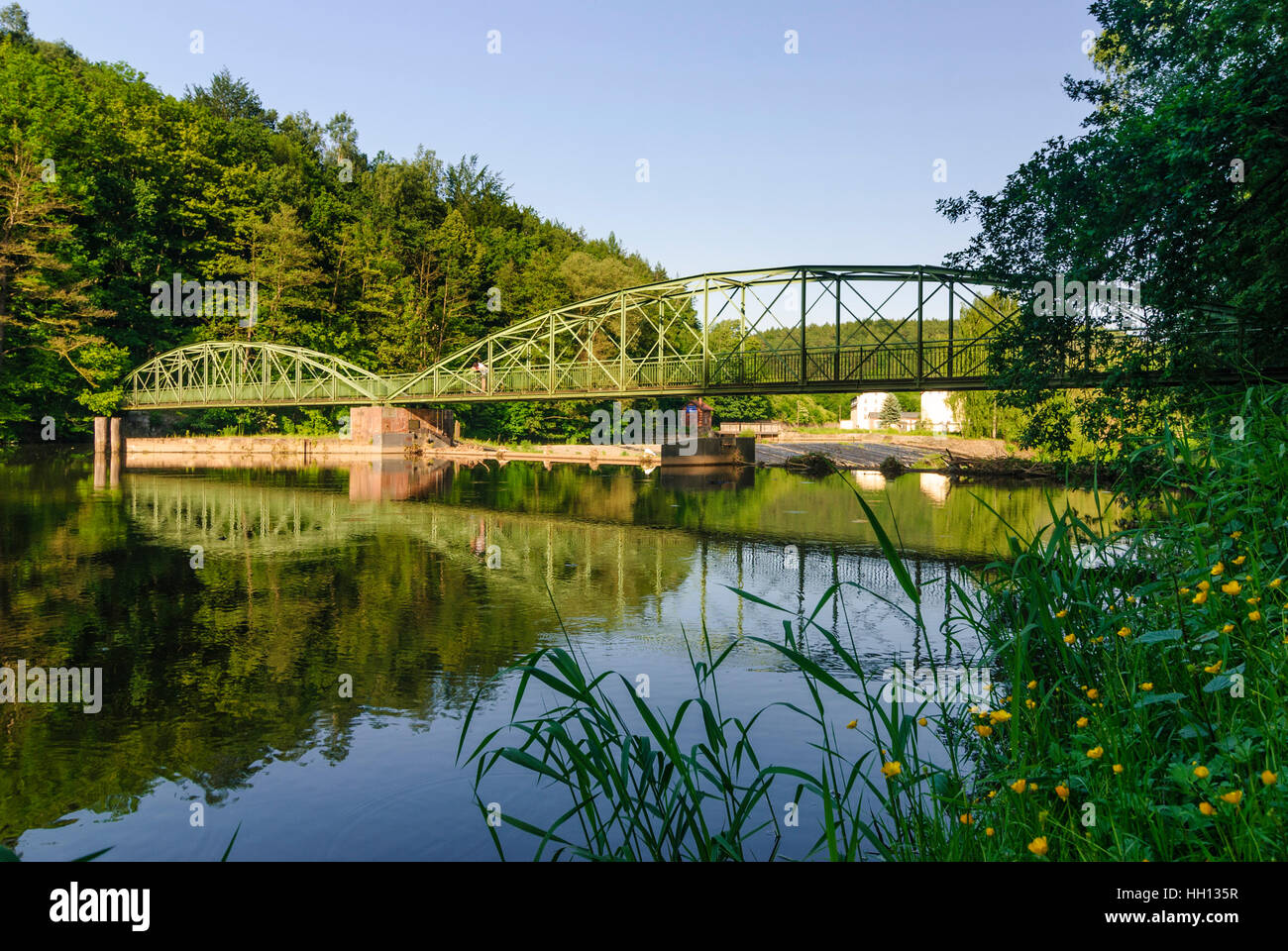 Penig: valle del Zwickauer Mulde in villaggio Amerika, , Sachsen, Sassonia, Germania Foto Stock