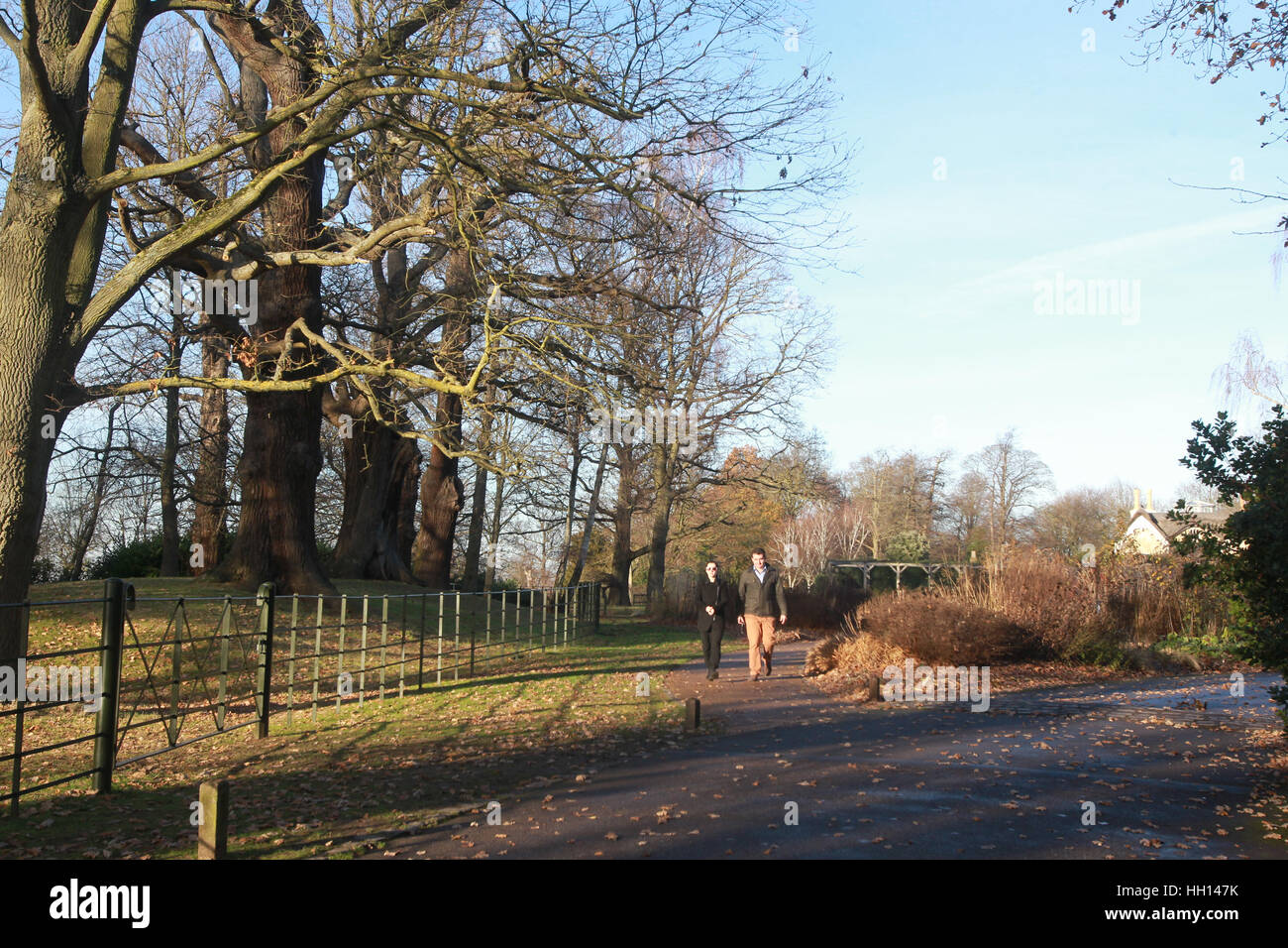 Il pubblico in generale potrete accomodarvi sulla terrazza del caffè al di fuori di Petersham Lodge nel parco di Richmond in un caldo giorno di dicembre come temperature hit 15c. Dotato di: atmosfera dove: Londra, Regno Unito quando: 14 Dic 2016 Foto Stock