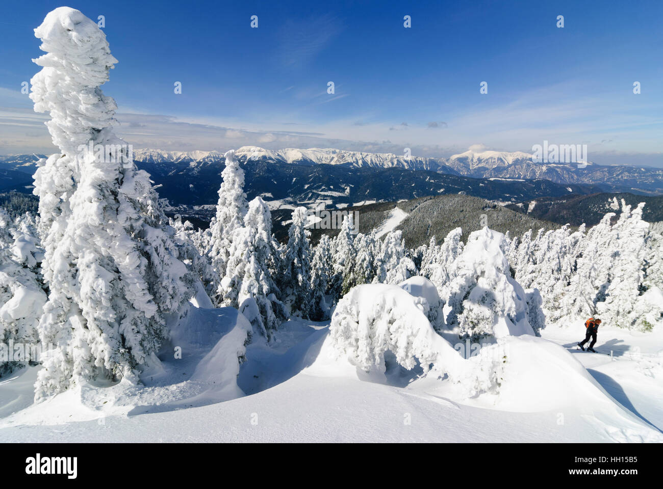 Spital am Semmering: Comune abeti rossi (Picea abies) prima di Raxalpe montagna (sulla sinistra) e montagna Schneeberg (sulla destra), Obere Steiermark, Stei Foto Stock