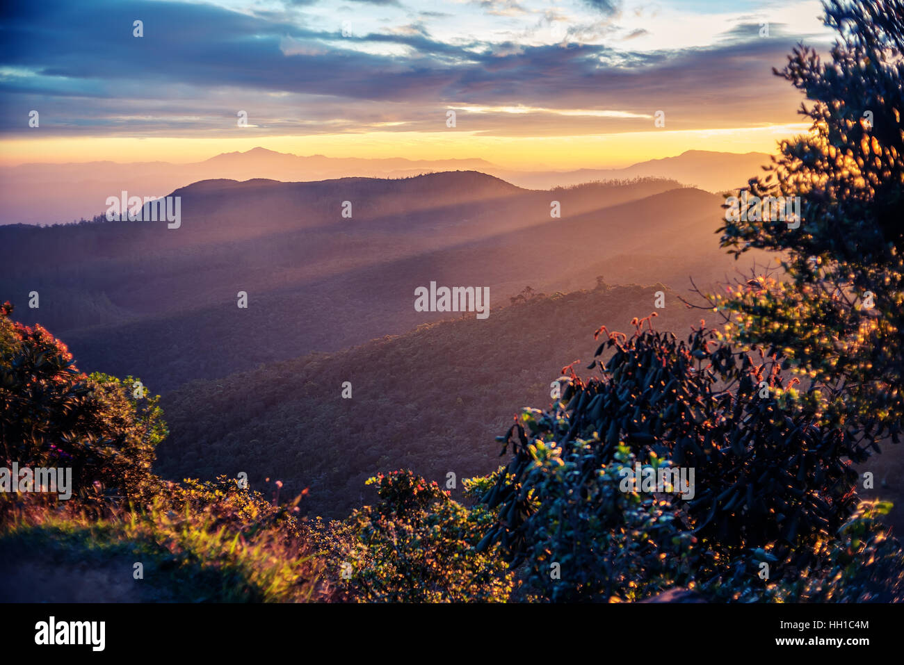 Sri Lanka: highland Horton Plains National Park Foto Stock