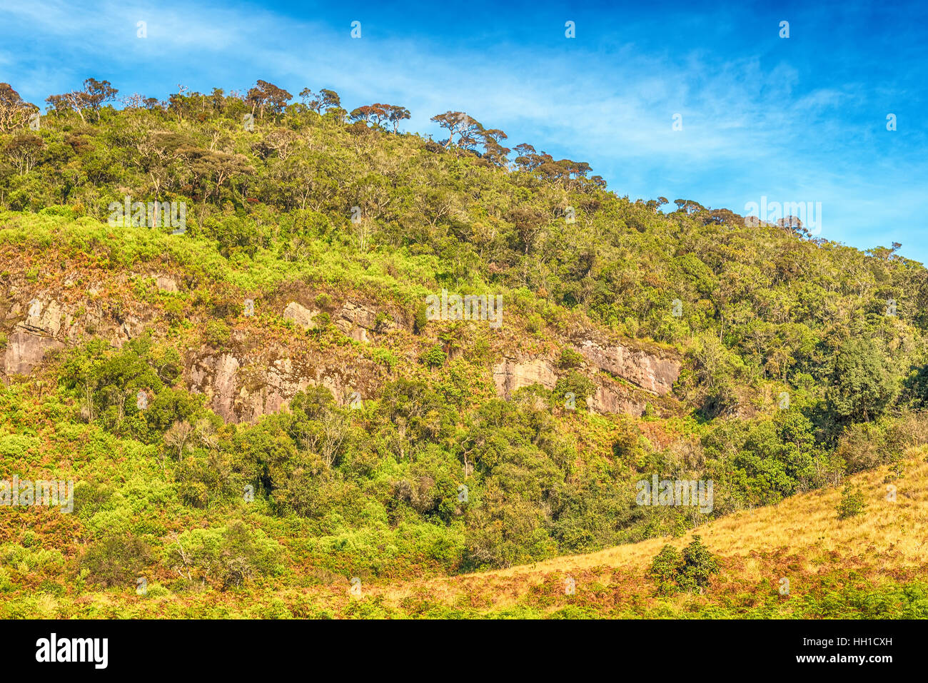 Sri Lanka: highland Horton Plains National Park Foto Stock