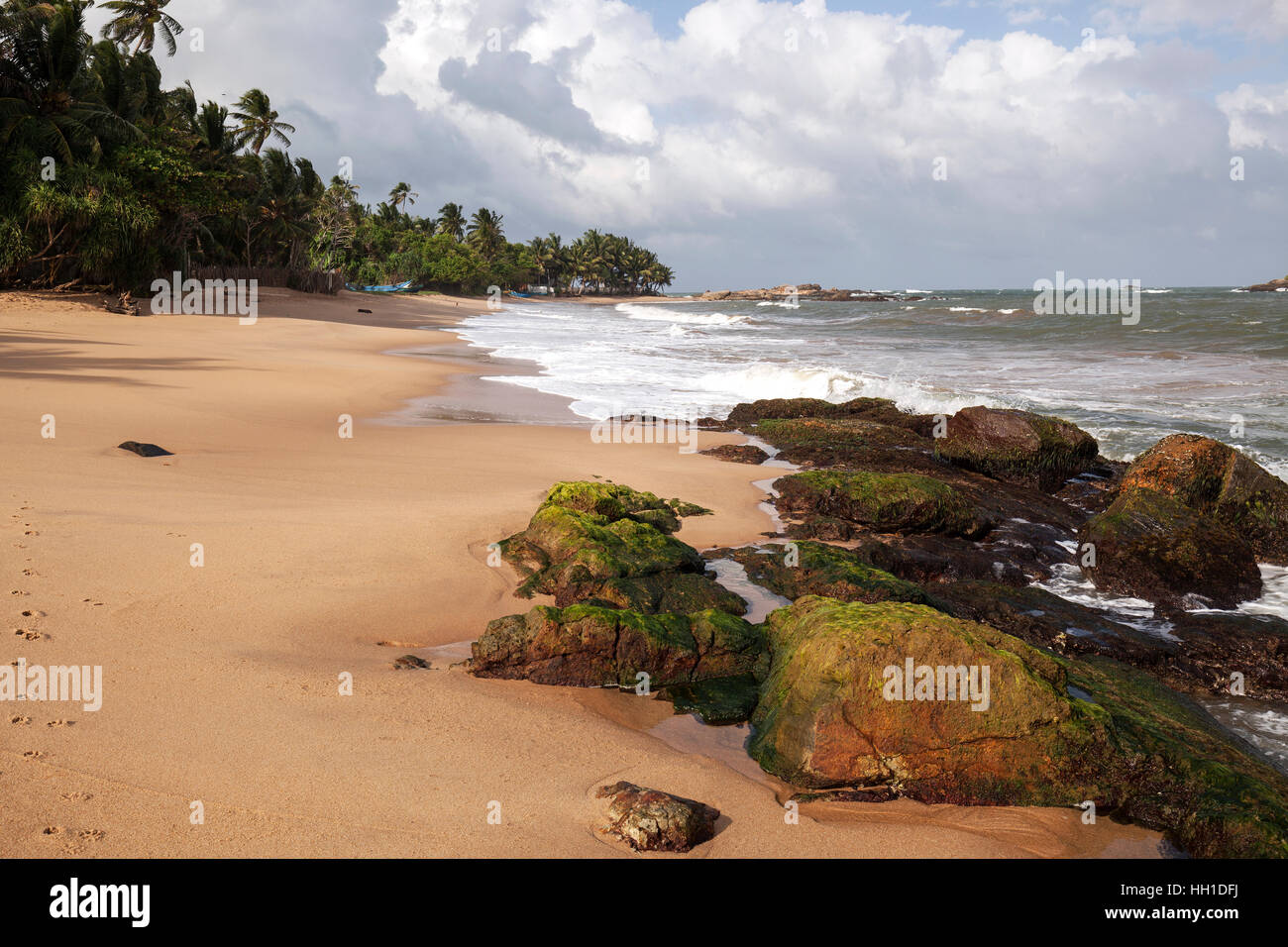 Spiaggia di sabbia con palme e rocce, Beruwela, provincia occidentale, Sri Lanka Foto Stock