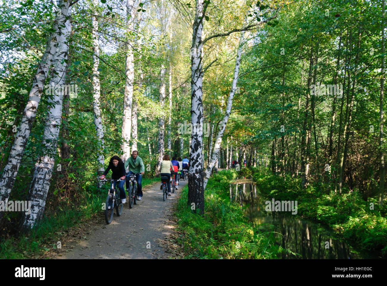 Lübbenau/Spreewald: pista ciclabile lungo un canale in Spreewald, , nel Land di Brandeburgo, in Germania Foto Stock