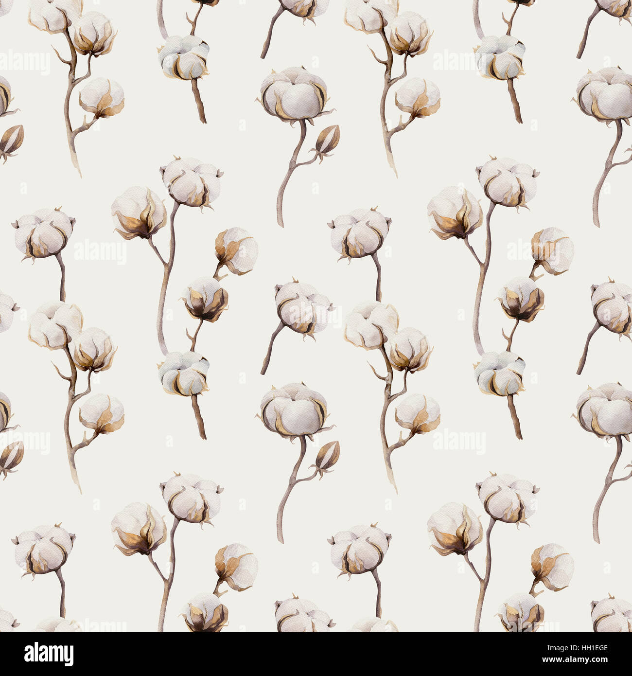 Acquerello vintage sfondo con ramoscelli e fiori di cotone boho Foto Stock
