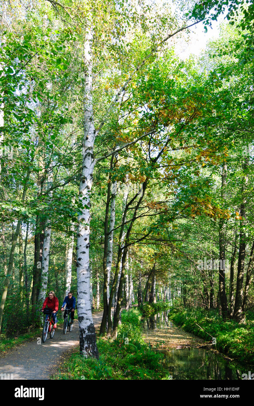 Lübbenau/Spreewald: pista ciclabile lungo un canale in Spreewald, , nel Land di Brandeburgo, in Germania Foto Stock