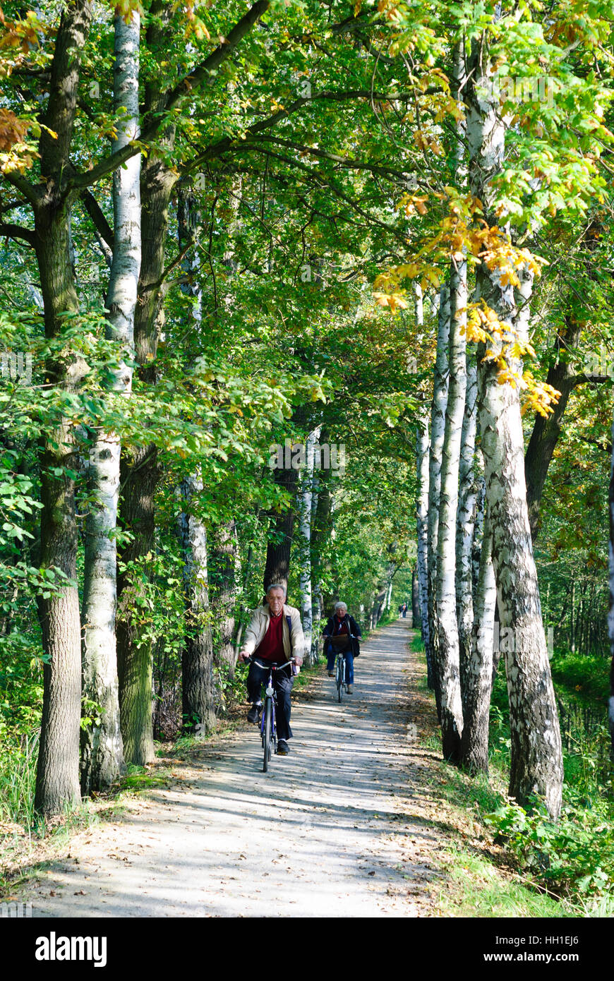 Lübbenau/Spreewald: pista ciclabile lungo un canale in Spreewald, , nel Land di Brandeburgo, in Germania Foto Stock