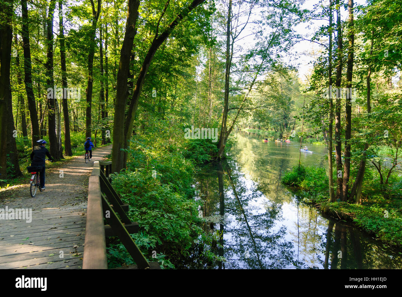 Lübbenau/Spreewald: pista ciclabile lungo un canale nella Spreewald e canoeist, , nel Land di Brandeburgo, in Germania Foto Stock