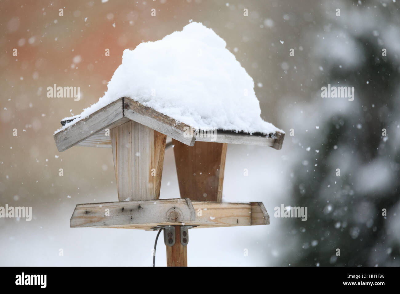 In casa semplice legno Bird Feeder, birdhouse installato su giardino d inverno in giornata nevosa Foto Stock