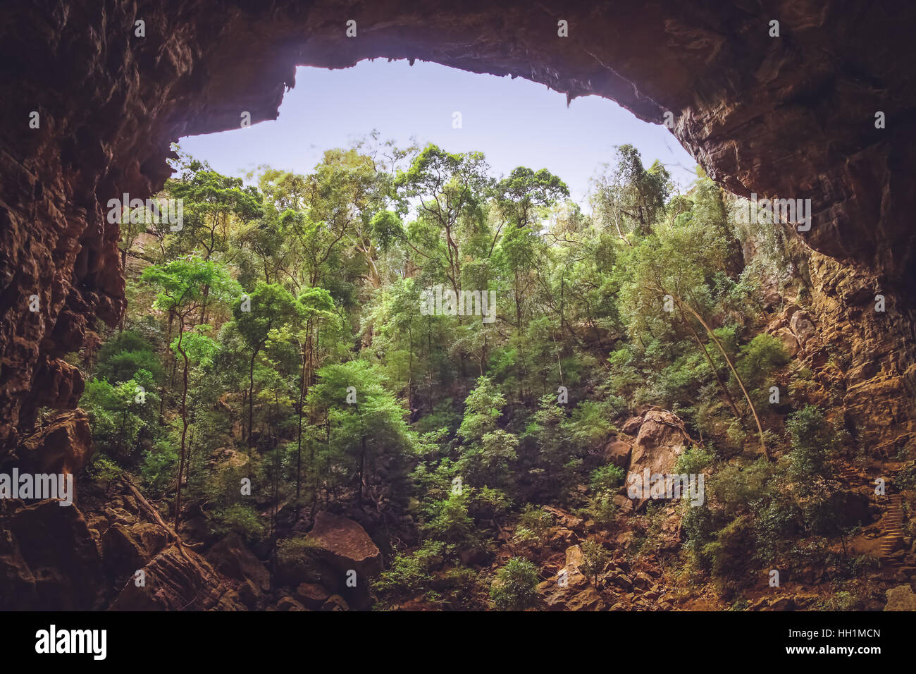 Entrata alla Bat caverna in Ankarana Parco Nazionale in Madagascar Foto Stock