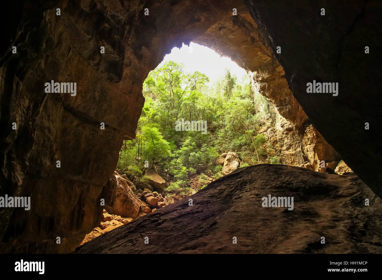 Entrata alla Bat caverna in Ankarana Parco Nazionale in Madagascar Foto Stock