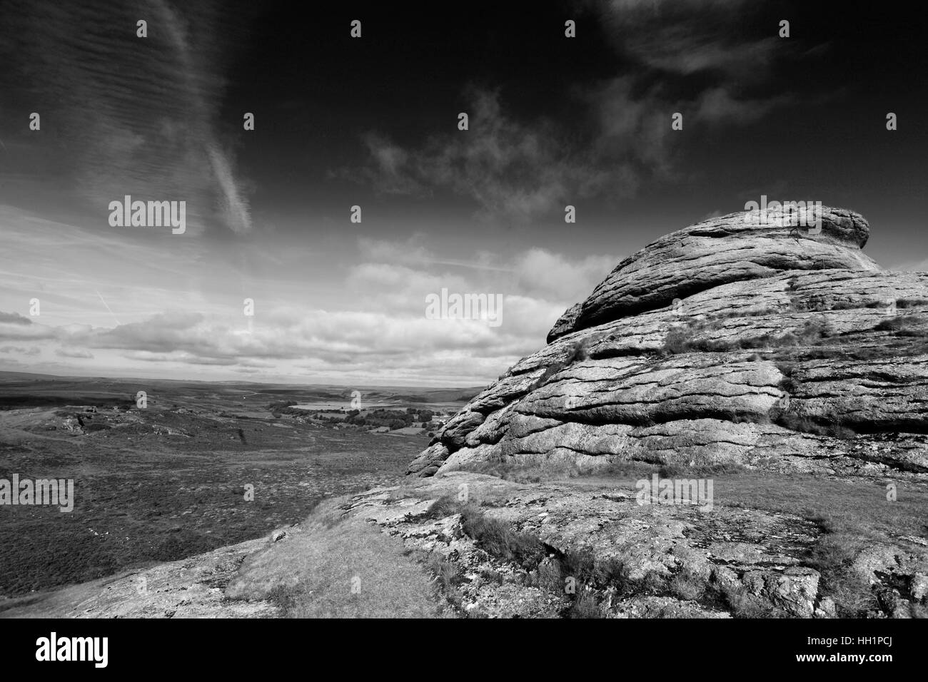 Estate, Haytor giù, Haytor Rocks, Parco Nazionale di Dartmoor, della Contea di Devon, Inghilterra, Regno Unito Foto Stock