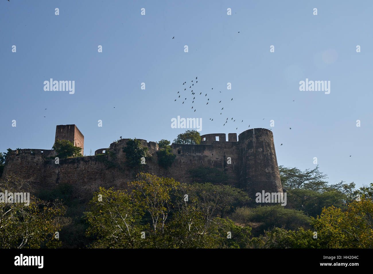 Pareti di moti Dungari fort, che è il tempio del Signore Shiva, nella città di Jaipur, Rajasthan, India Foto Stock