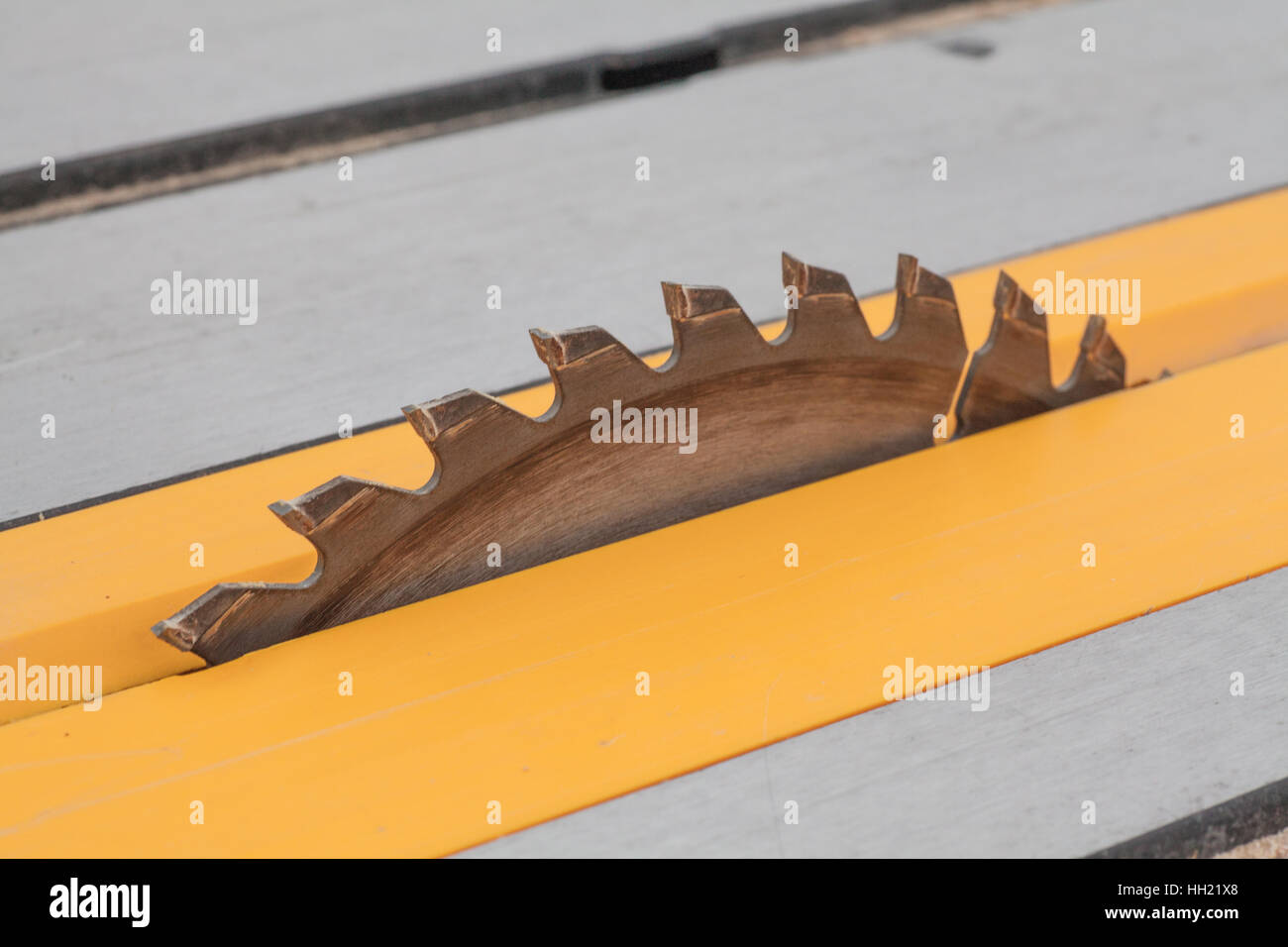 Denti di una lama su una sega da tavolo Foto Stock