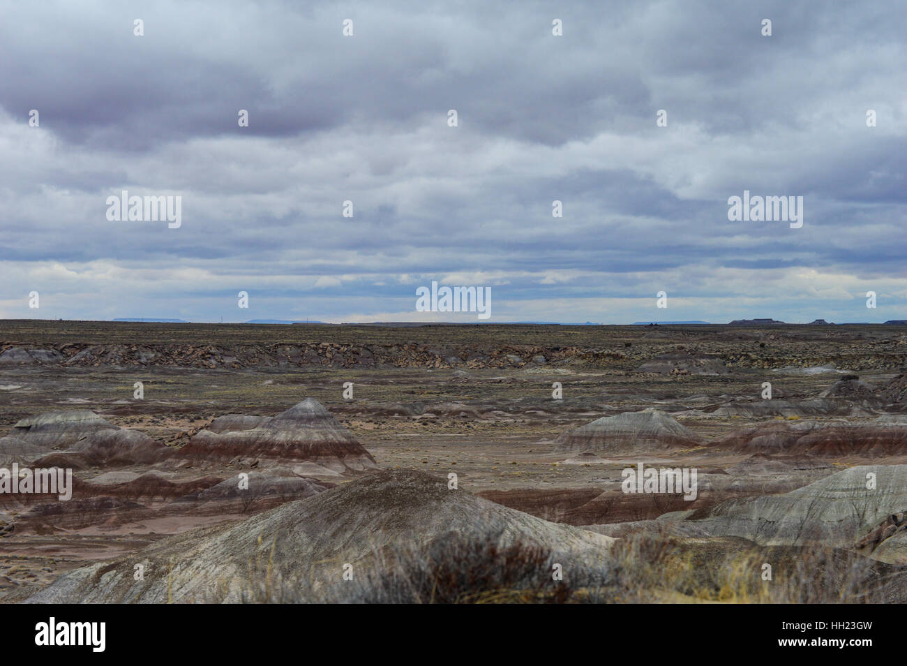 Un paesaggio del Deserto Dipinto nel Parco Nazionale della Foresta Pietrificata in Arizona Foto Stock