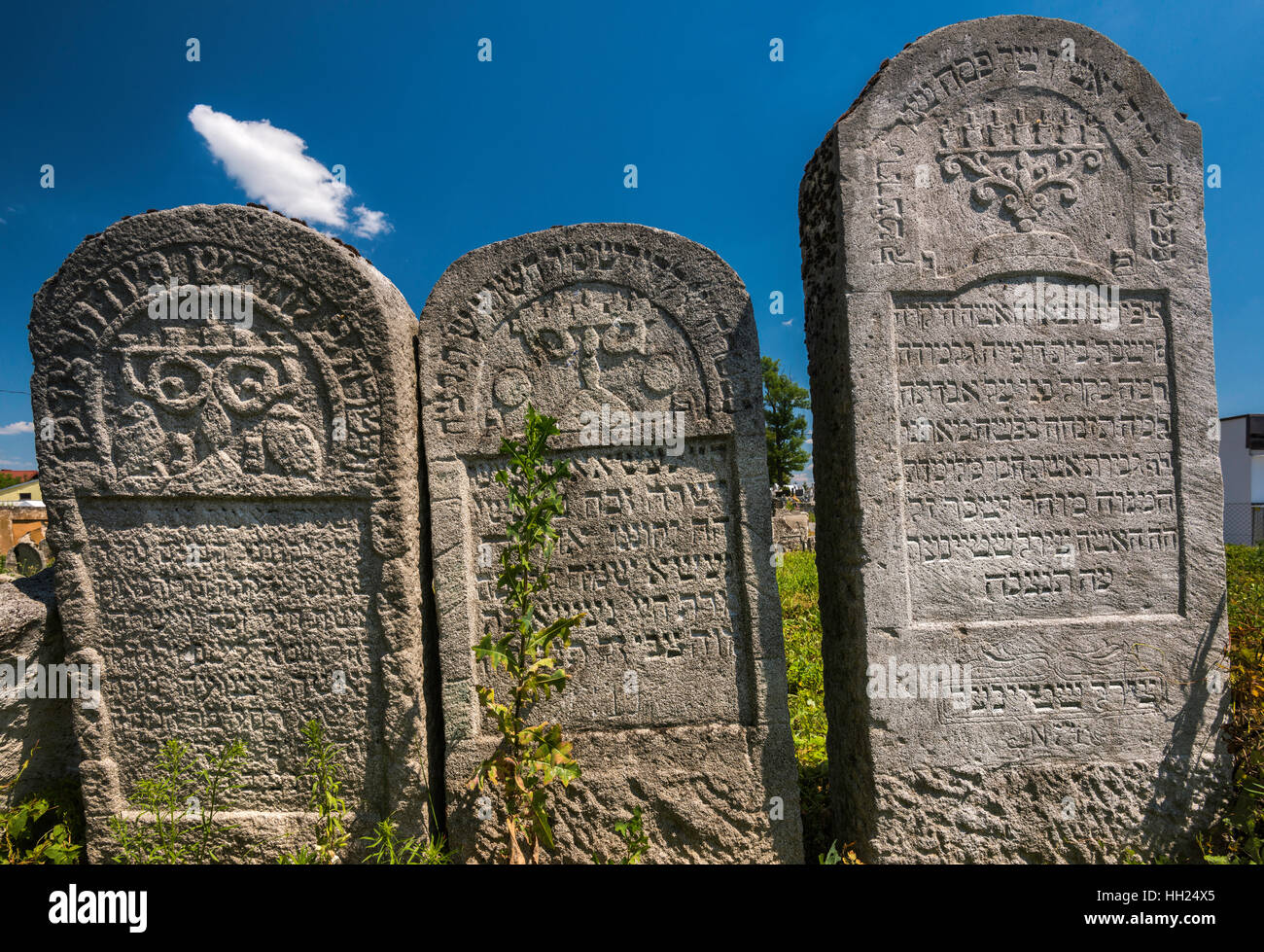 Le lapidi al cimitero ebraico in Lubaczow, Malopolska, Polonia Foto Stock
