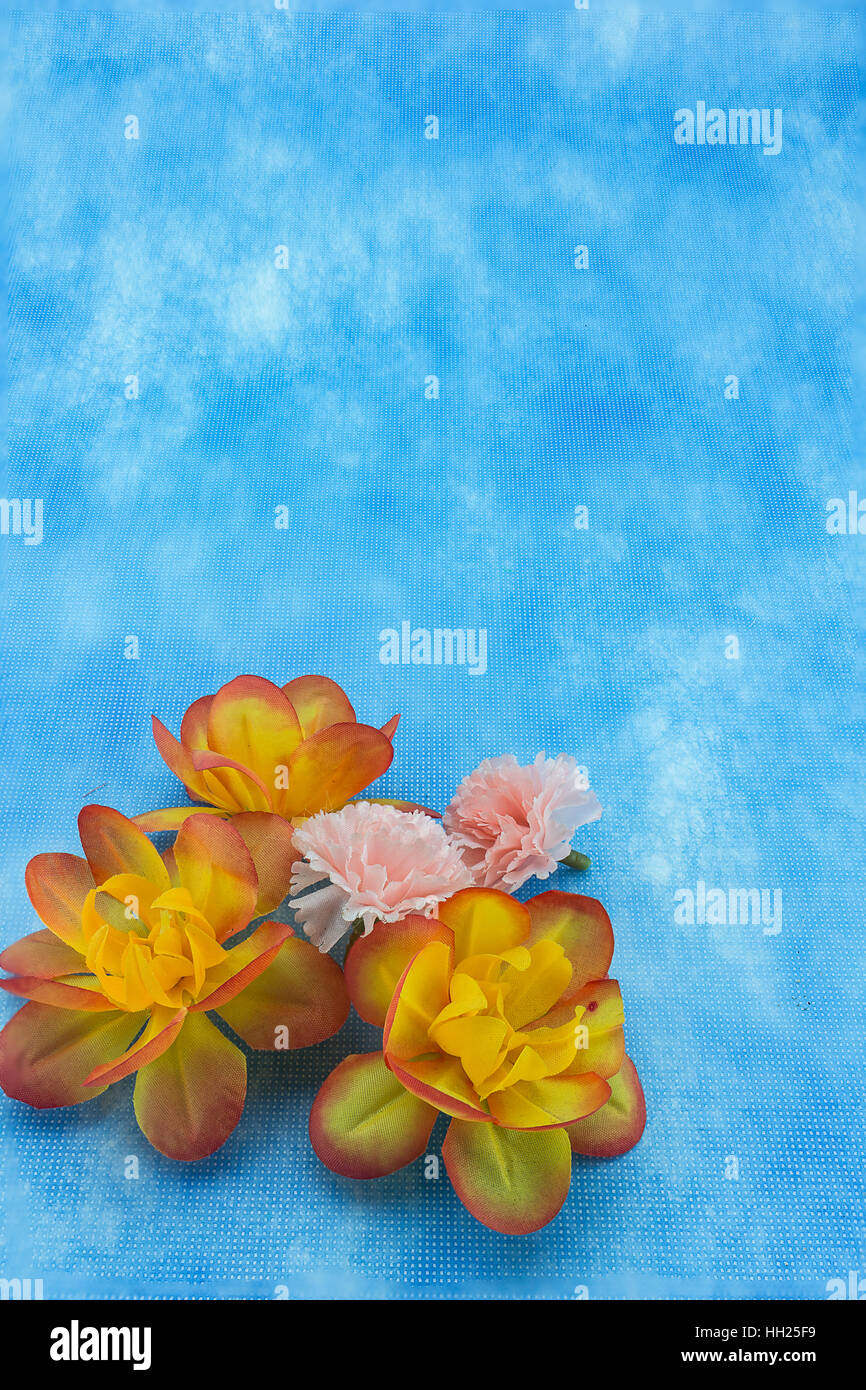 Arancione e rosa fiori di plastica su carta blu Foto Stock