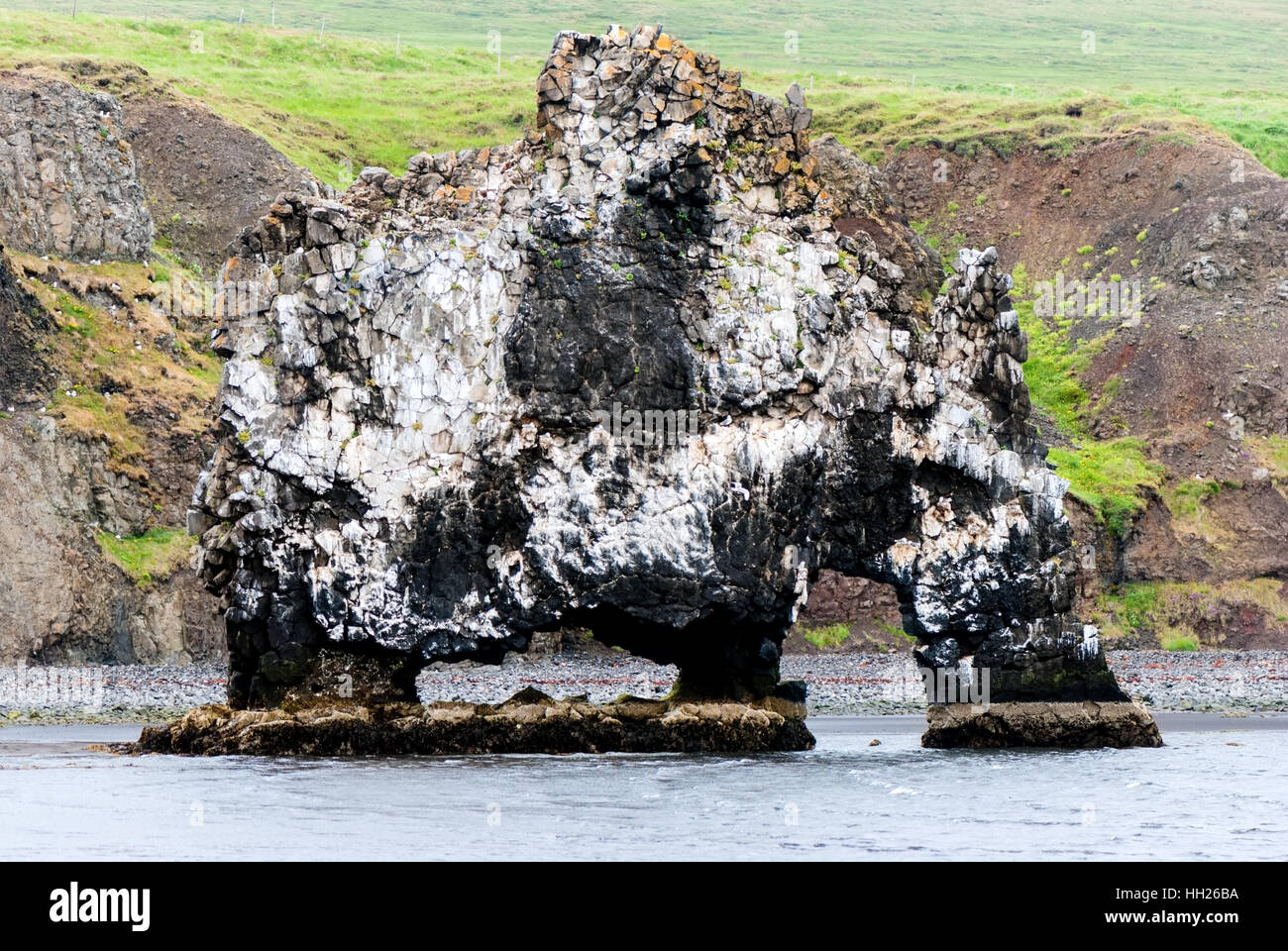 Roccia di dinosauro. Foto Stock