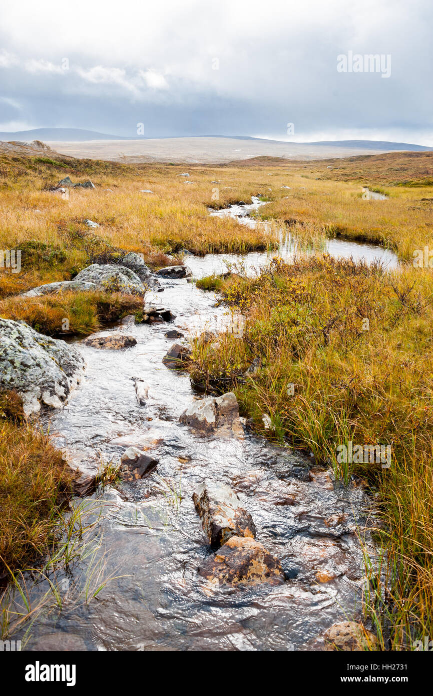 Flusso roccioso in esecuzione attraverso un arida brughiera valley in Alta, Finnmarksvidda montagna altopiano, Norvegia. Foto Stock