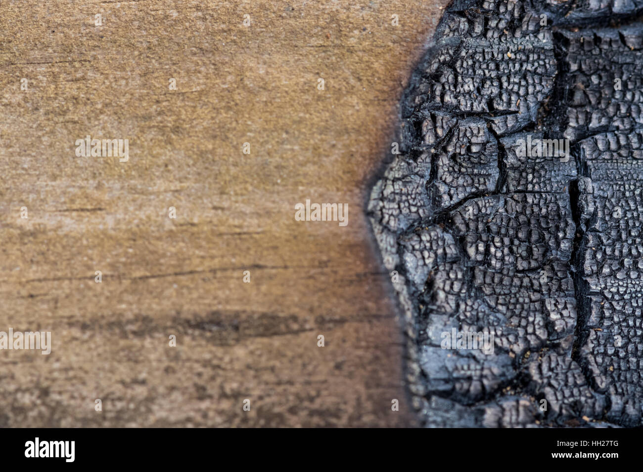 Di legno bruciato sul lato destro dello spazio di copia su immagine a sinistra Foto Stock