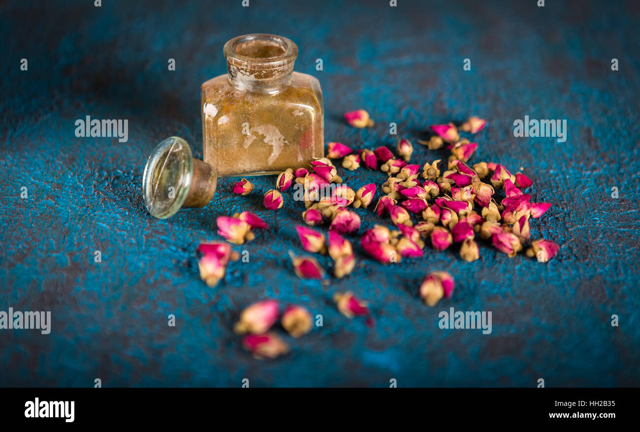 Asciugare il tè boccioli di rosa su sfondo blu scuro Foto Stock