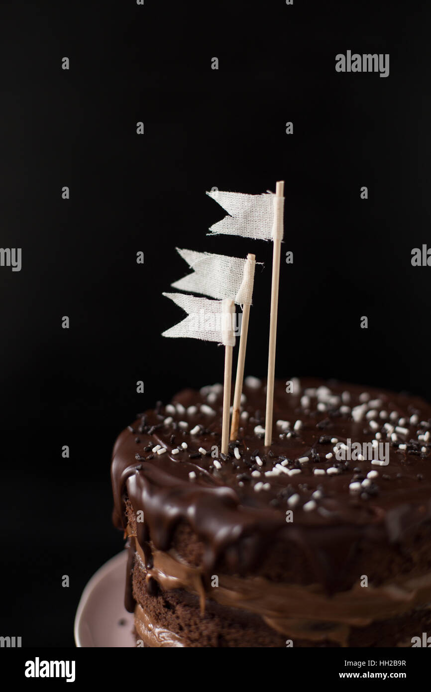 Torta al cioccolato Foto Stock