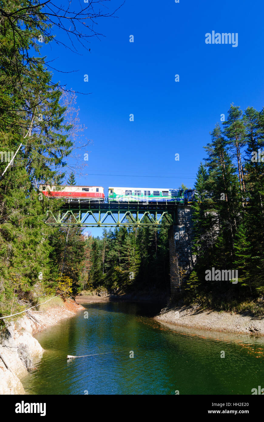 Mitterbach am Erlaufsee: Treno della Mariazellerbahn sul viadotto Eseltal - Ötscher-Tormäuer Natura Park, Mostviertel, Niederösterreich, Aust inferiore Foto Stock