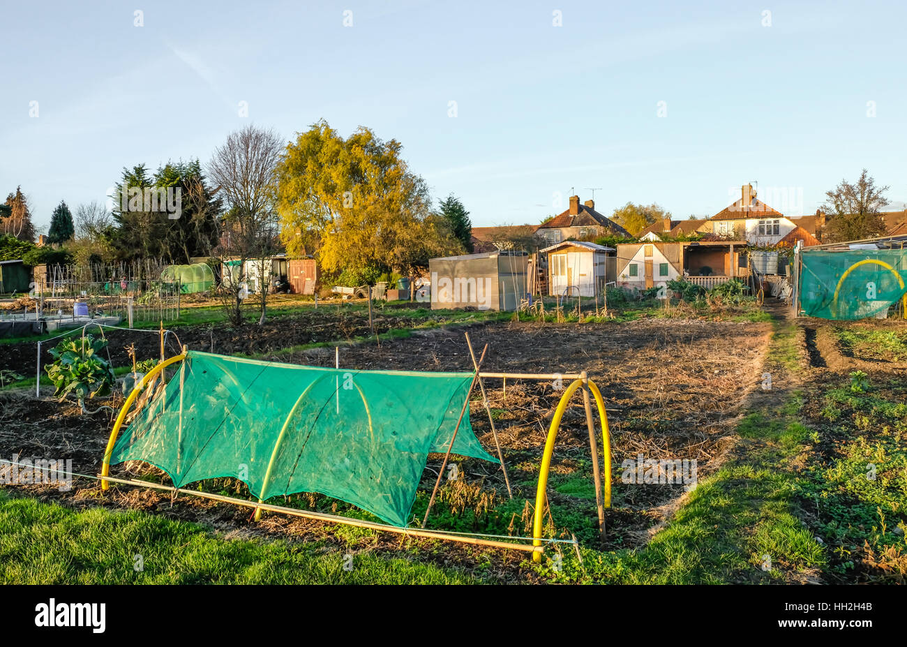 Riparto è un piccolo appezzamento di terreno che viene affittato e si può crescere i propri ortaggi. La sua vita sociale e una comunità di persone affini. Foto Stock