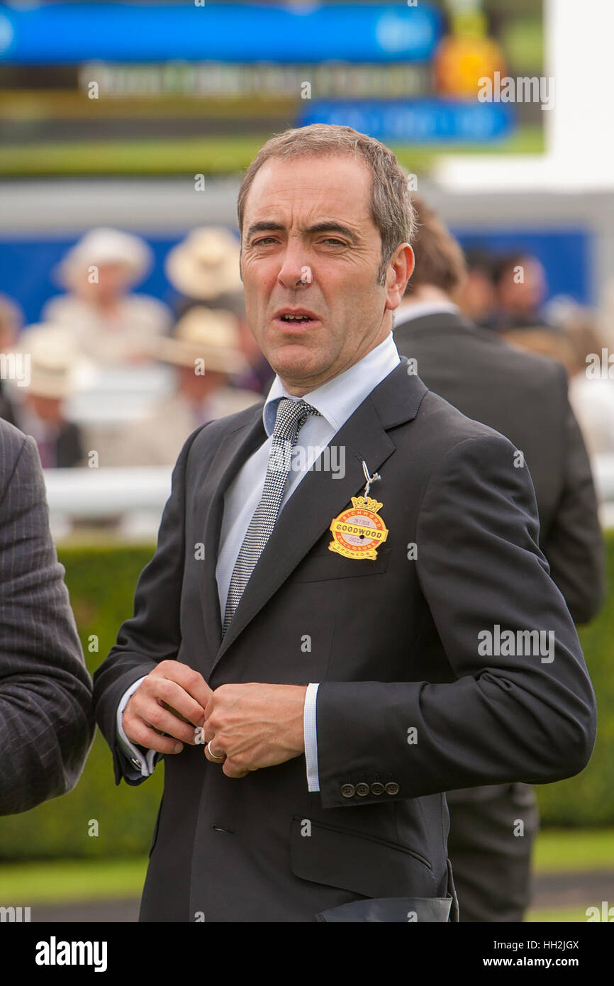 L'attore James Nesbitt a Goodwood Race Course Foto Stock