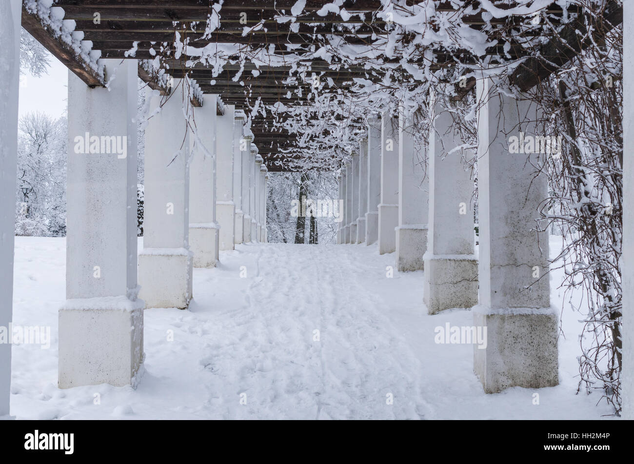 Vicolo di colonna nel periodo invernale. Renavas, Lituania. Foto Stock