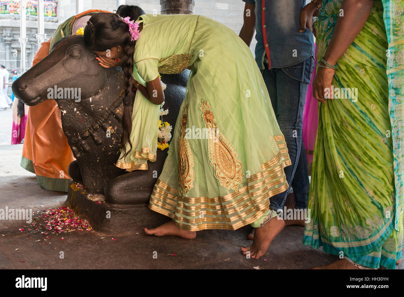 Tiruvannamalai, India, 15 gennaio, 2017. Un pellegrino indù sussurra un segreto desiderio nell'orecchio di una statua del bull Nandi, durante l annuale Pongal harvest festival celebrazioni presso il Tempio Arunachaleswara a Tiruvannamalai, Tamil Nadu, India. Nandi è venerato come il veicolo per la divinità Shiva, per cui il desiderio è passato a essere soddisfatte. Credito: Trevor Thompson/Alamy Live News Foto Stock