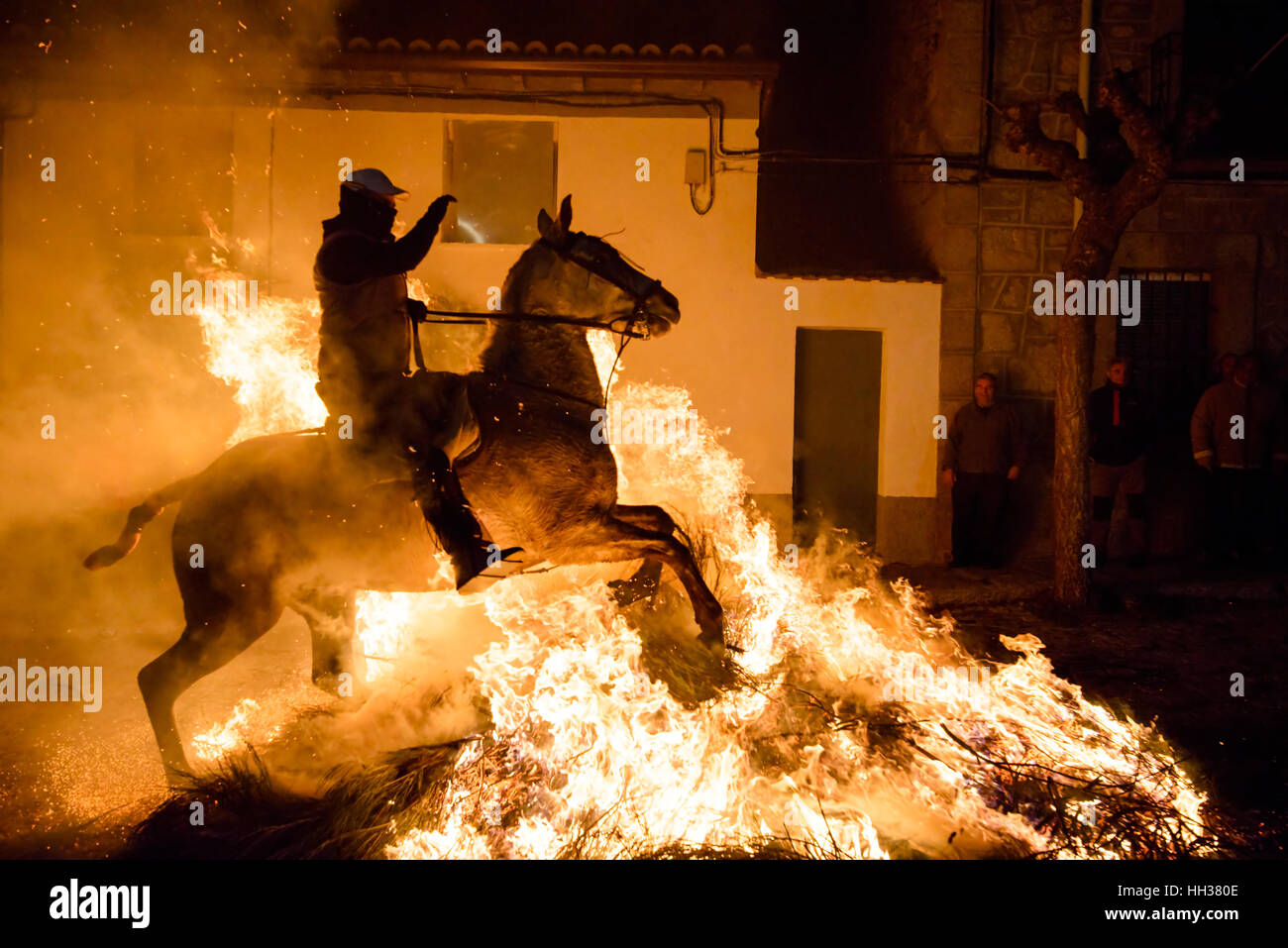 San Bartolome de Pinares, Spagna. 16 gennaio, 2017. Un uomo che cavalca un cavallo attraverso un falò come parte di un rito in onore di Sant'Antonio Abate, patrono di animali domestici. La tradizione religiosa e folcloristica, che è centinaia di anni, è destinato a purificare e a proteggere l'animale nel prossimo anno. Credito: M. Ramirez/Alamy Live News Foto Stock