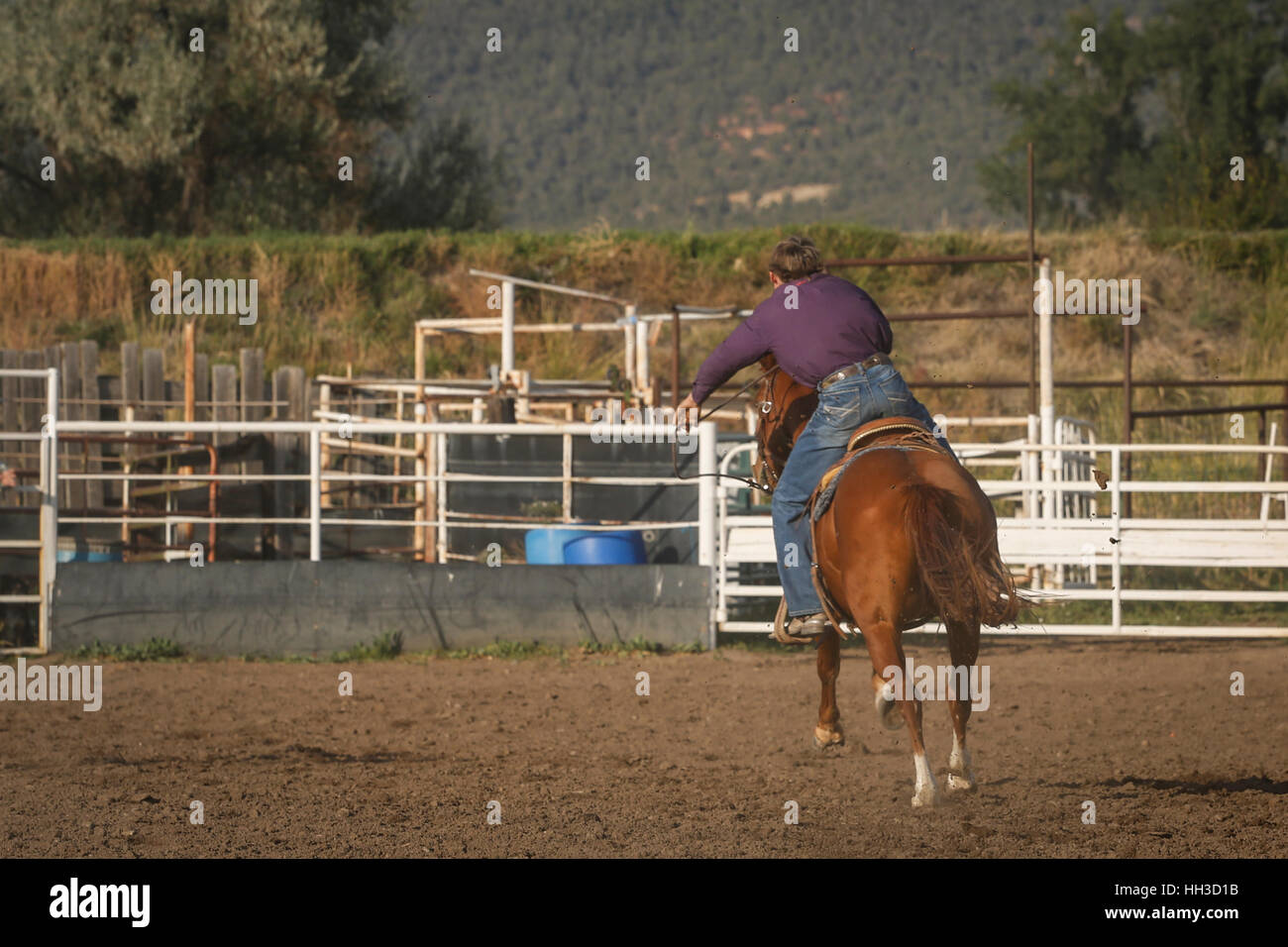 Giovani cowboy a cavallo durante un evento in corrispondenza di una gioventù rodeo. Foto Stock