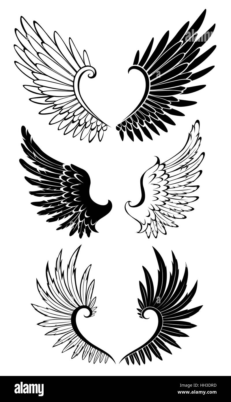 Artisticamente dipinte in bianco e nero ali per tattoo. Illustrazione Vettoriale