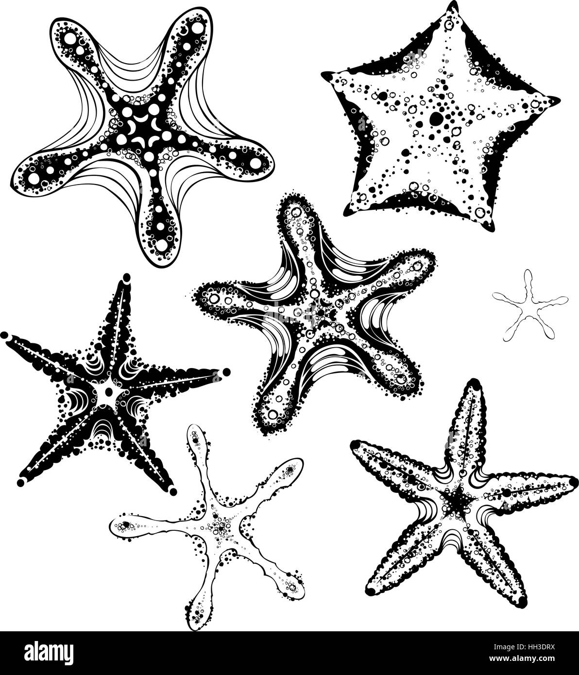 Dipinto artisticamente disegnato, stilizzata, planimetrici starfishes. Illustrazione Vettoriale