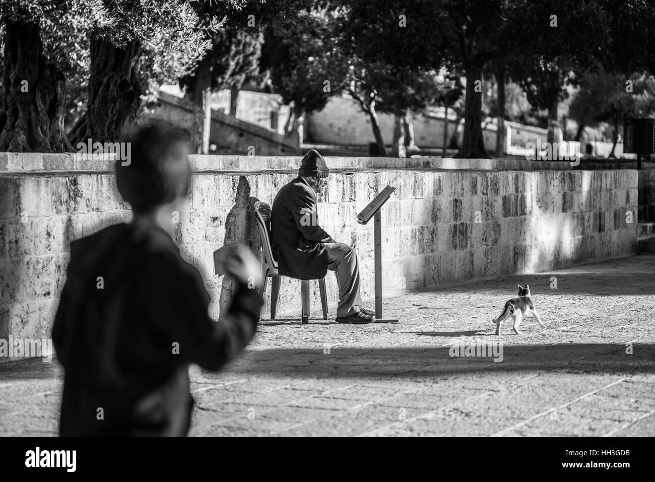 Un uomo musulmano prega vicino alla Cupola della Roccia sulla Haram al-Sharif, noto anche come il Monte del Tempio di Gerusalemme la città vecchia,Israele Foto Stock
