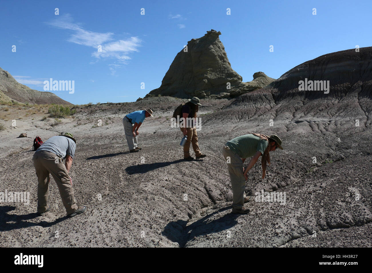 Paleontologi alla ricerca di fossili Utah bacino grande deserto Foto Stock