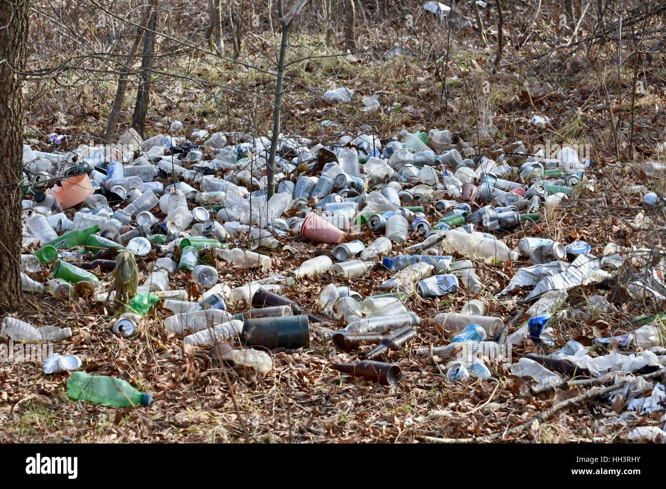 Cestino disseminati sul terreno in una foresta Foto Stock