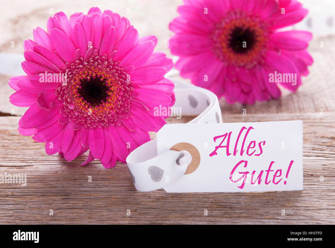 Molla di pink gerbera, etichetta, Alles Gute significa migliori auguri Foto Stock