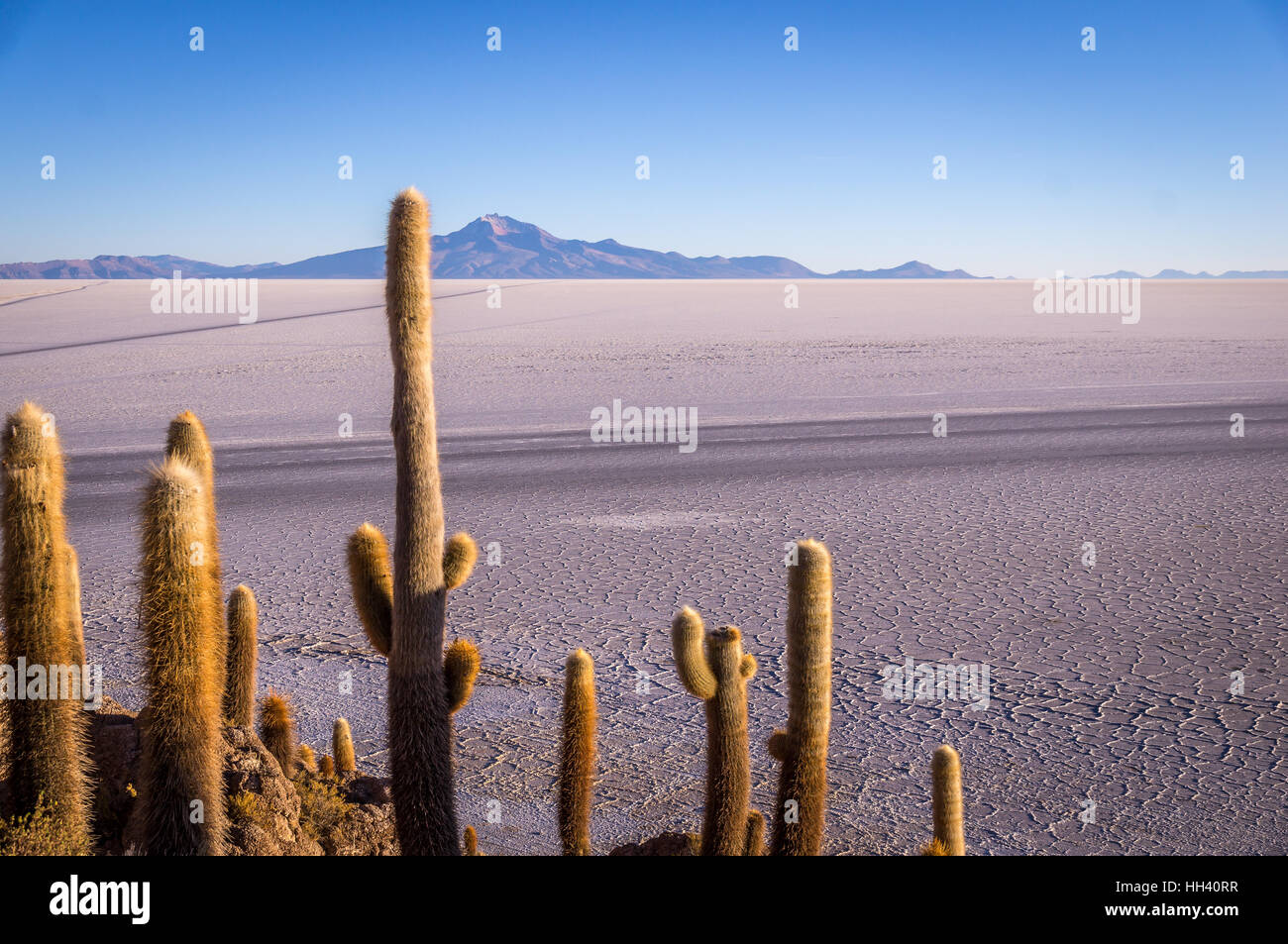Vista da Isla Incahuasi, Uyuni, Bolivia Foto Stock