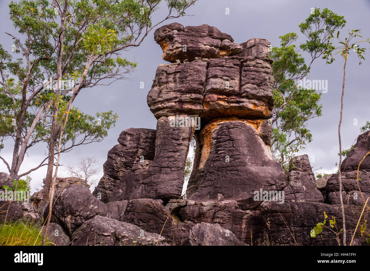 Città Perduta formazioni rocciose nel Parco Nazionale di Litchfield Foto Stock