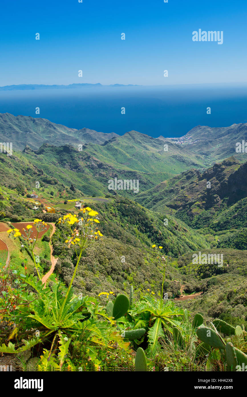 Montagne di Anaga, Tenerife Foto Stock